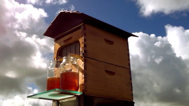New Invention - Flow Honey on Tap Directly From your Beehive