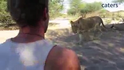 Humans Amazing Friendship With Lion