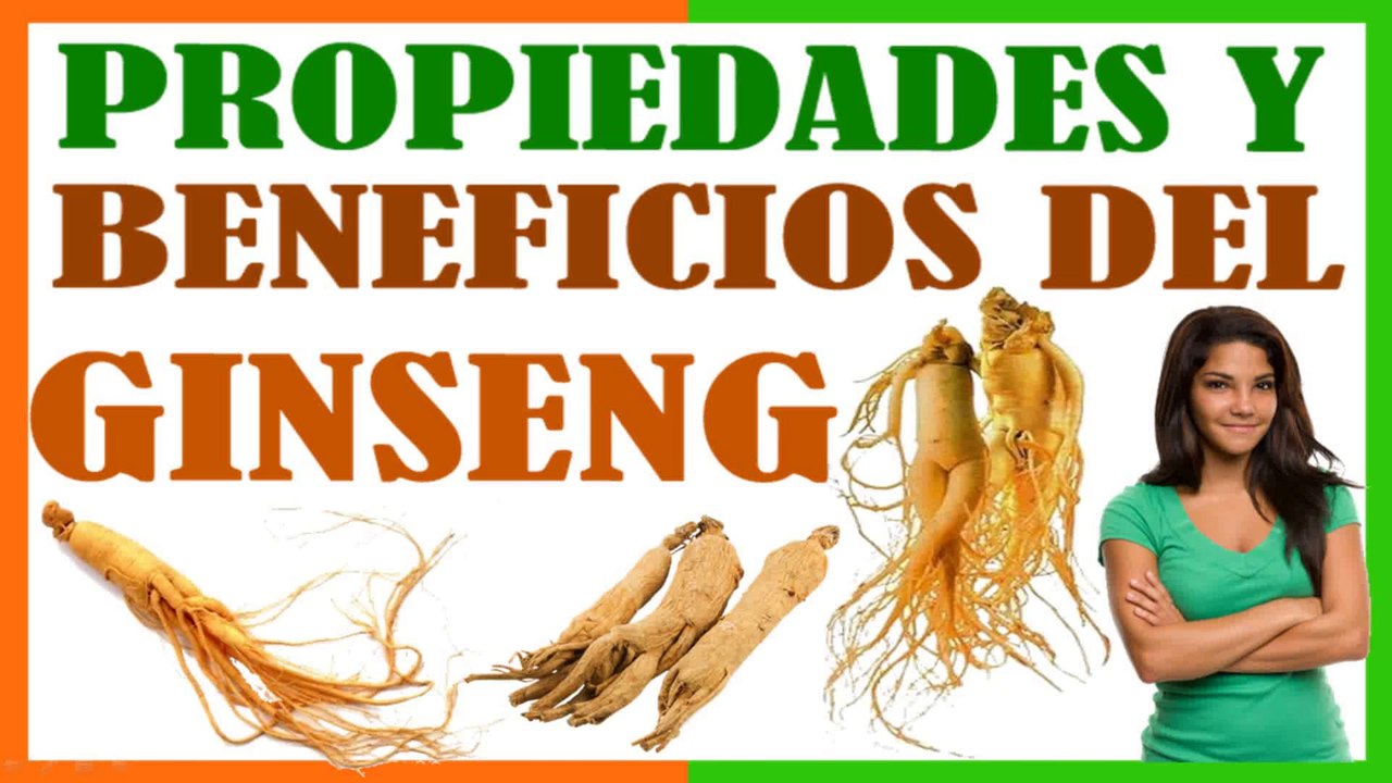 Propiedades Medicinales del Ginseng