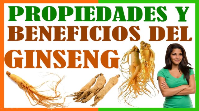Propiedades Medicinales del Ginseng