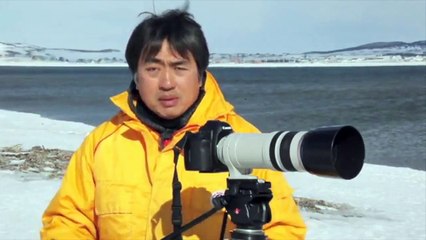 Lazy Harp Seal Has No Job - song by Parry Gripp