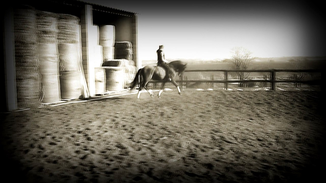 canalon janvier 2015