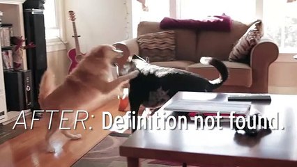 7 Words That Mean Something Different After Getting A Dog