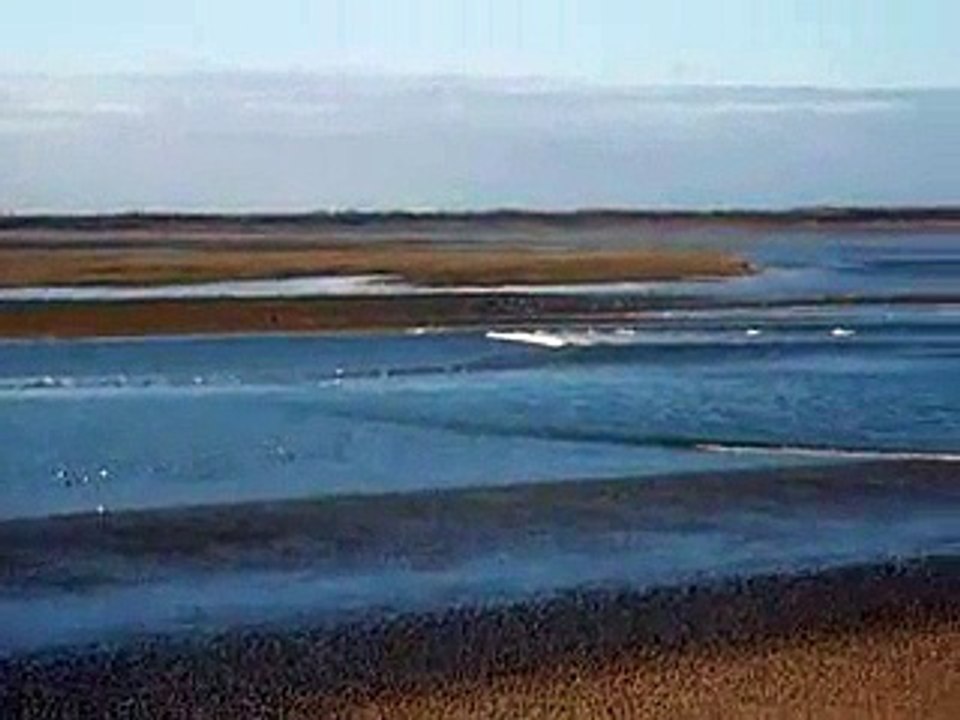 video syndiquee abduct avec titre qui force le noadfit