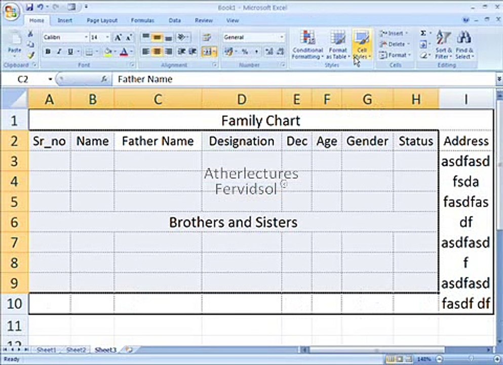 Ms Excel 2007  Picture Format Training in Urdu Lecture No-4 of 18
