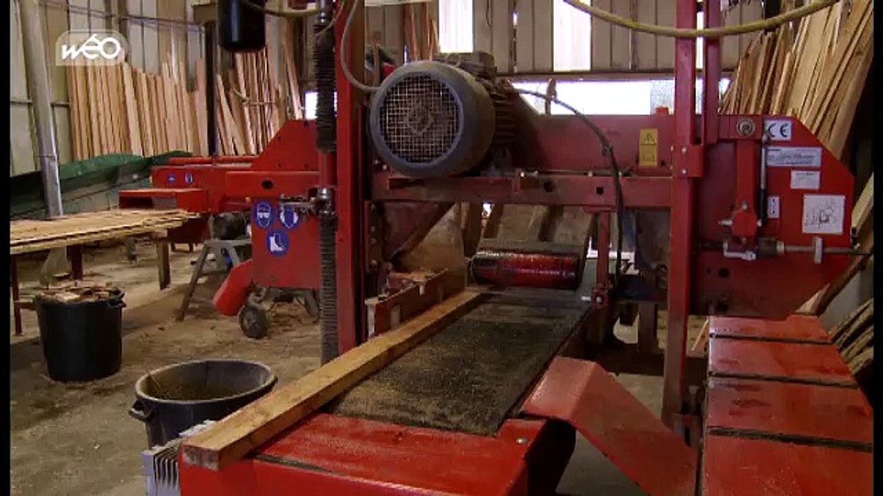 C'est le Nord : l'insertion professionnelle