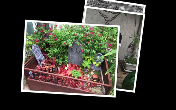 14Avenue — Hiver 2014-1025