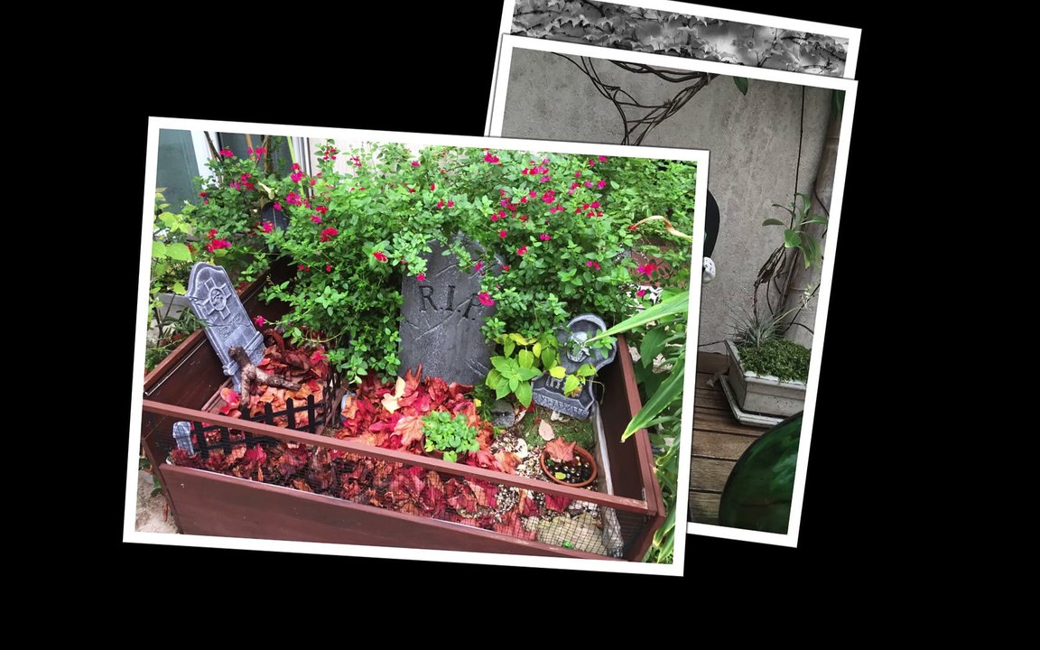 14Avenue — Hiver 2014-1025