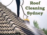 Roof Cleaning Sydney