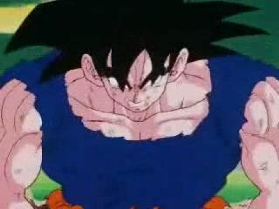 AMV - Sayens Fightings