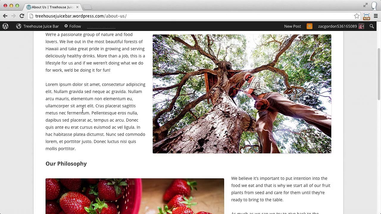 Learn to Create Great WordPress.com Sites at Treehouse
