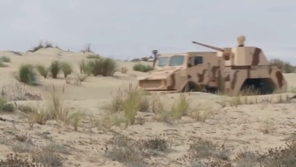 Thales RAPIDFirend  40mm Anti Aircraft Cannon