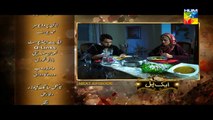 Aik Pal Episode 14 Promo HUM TV Drama Feb 16 2015