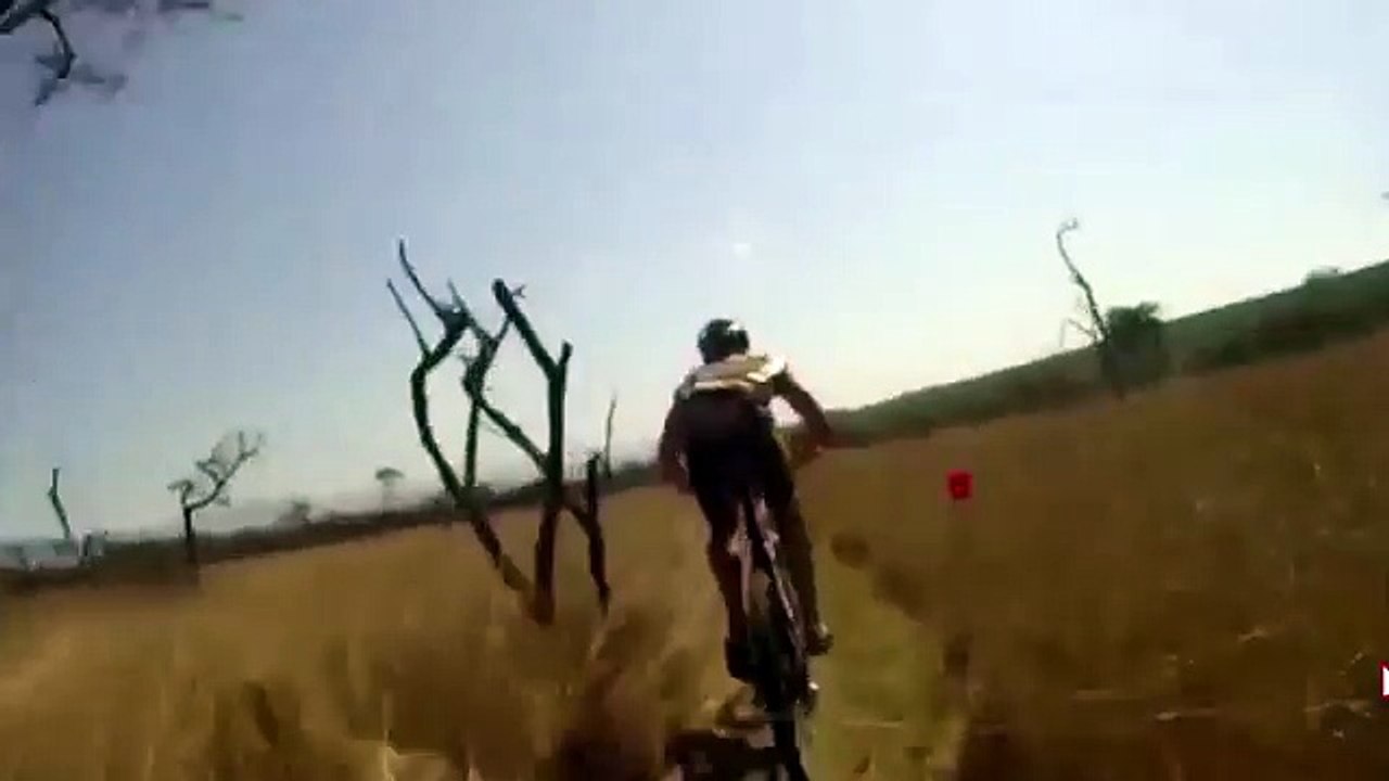 WNP Digital pour Mondial Assistance - assurance voyage, «Accident à l'étranger» - janvier 2015 - gazelle