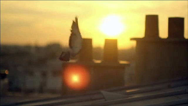 BETC pour Aigle - vêtements et accessoires, «It's wild out there» - février 2015