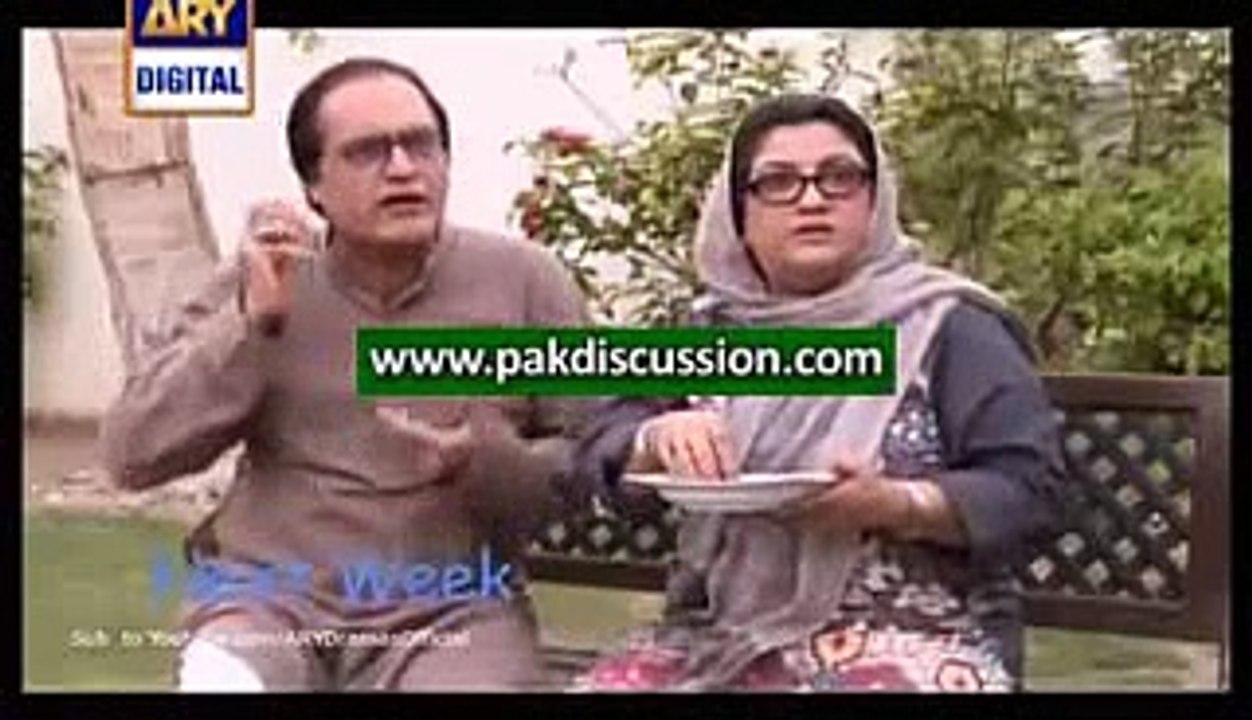 Bulbulay Episode 336 Promo on  ARY Digital