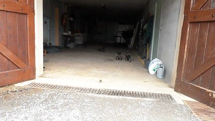 Maintenant on est grand, on sort dans la cour