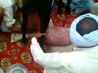 Most milk producing goat in the World  - Vidéo Dailymotion