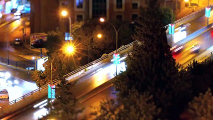 الأردن | جنى مقداد  | جديد طيور الجنة