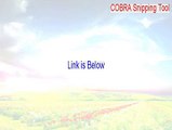 COBRA Snipping Tool Full (Legit Download 2015)