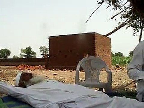 EH DAIRY FARM 419JB (5) in construction