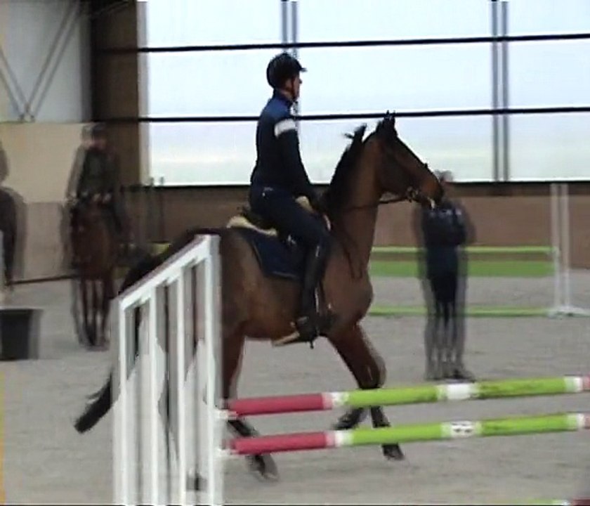 SEANCE DE SAUTS D'OBSTACLES AVEC CEDRIC ANGOT 8 FEVRIER 2015