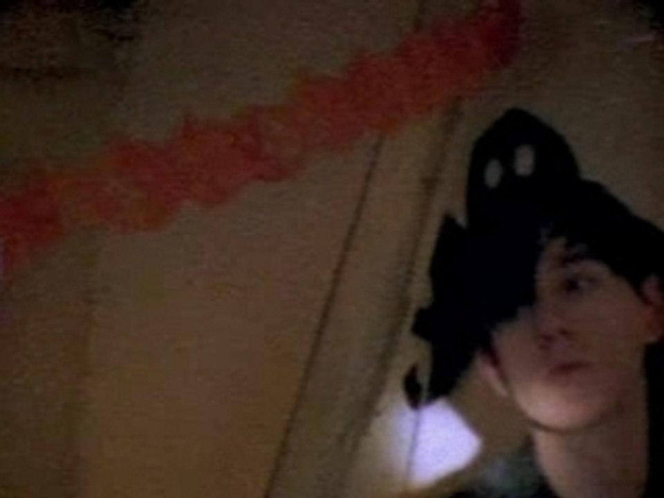Patrick Wolf  - The Libertine