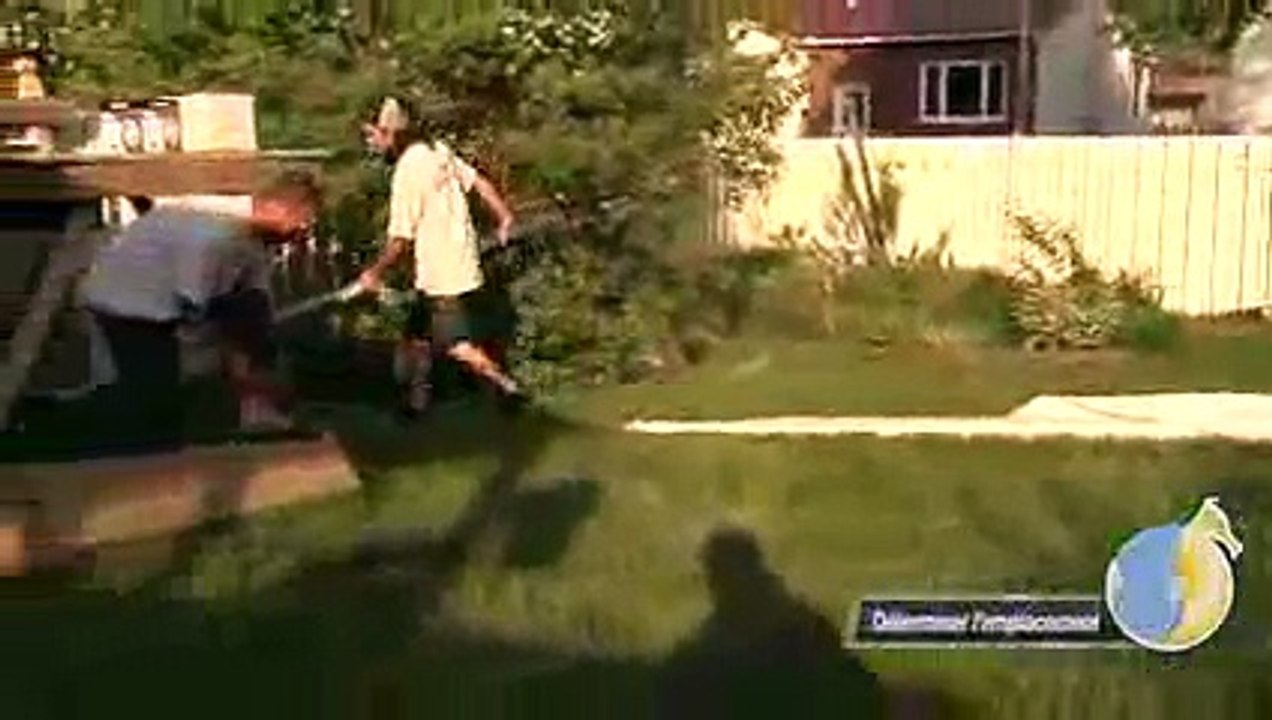 Piscine Hippocampe : installation d'une piscine hors terre