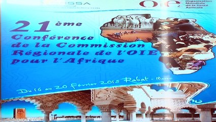 الندوة 21 للجنة الإقليمية لمنظمة العالمية للصحة الحيوانية لإفريقيا 