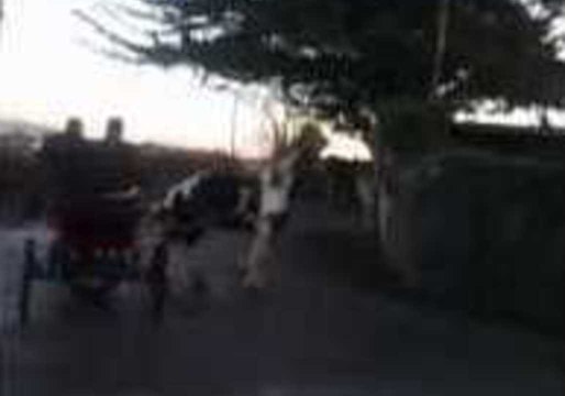 Irish Donuts in a Horse and Cart