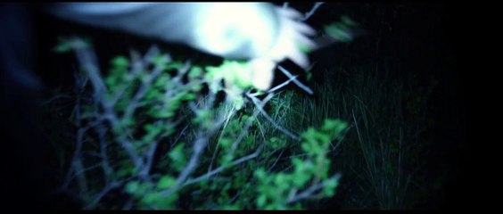 Nightlight (2015) Official Trailer #1 - Shelby Young, Chloe Bridges Horror Movie HD