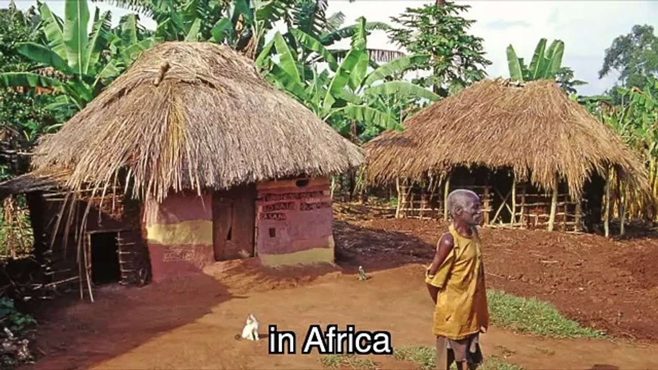 Ebola La La La