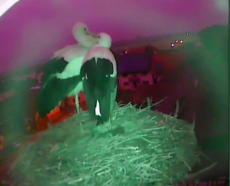 17.02.15  Bisous Bisous / Kussi Kussi