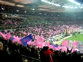 stade francais toulouse