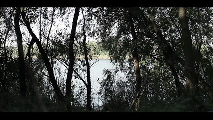 На реке(по мотивам рассказа Ги Де Мопассана)