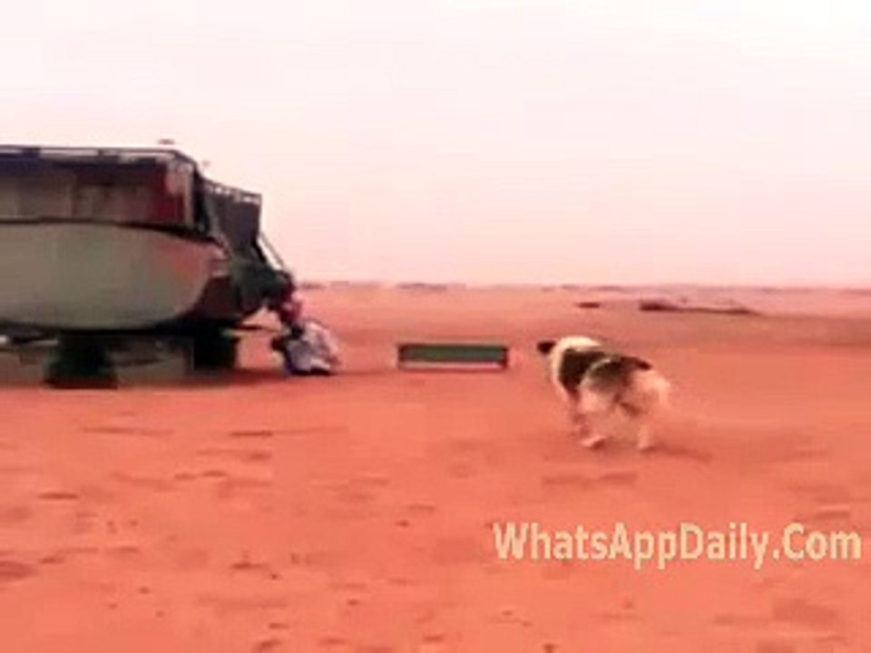 Dont Try This In Public Places