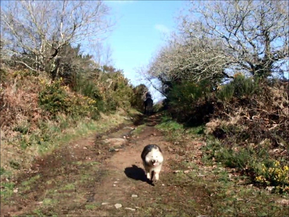 Promenade à cheval, 17/02/15. 2 heures 1/2 sous le soleil !