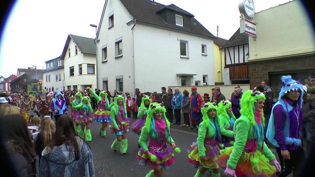 Veilchendienstagszug Heimbach Weis 2015 2/4