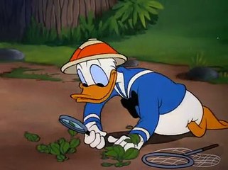 Donald Duck Animation :  Cartoon :Full Episode # 13