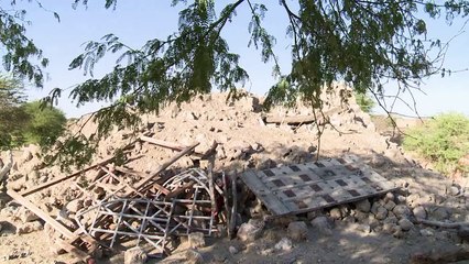 From Timbuktu to the Oscars, film shows life under Islamists