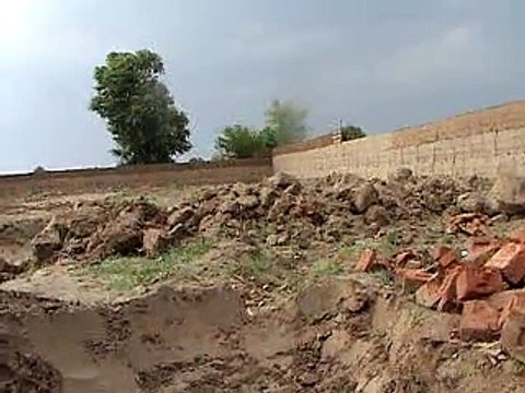 EH dairy farm 419jb (22) in construction