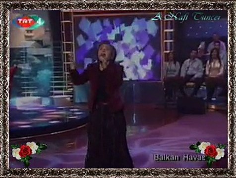 Ayşe TAŞ *Evlerinin Önü Handır*