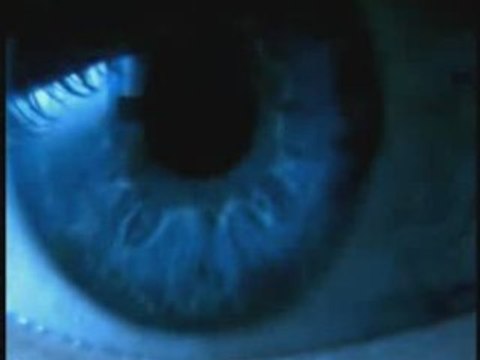 Lost-Noir Désir-CLIP