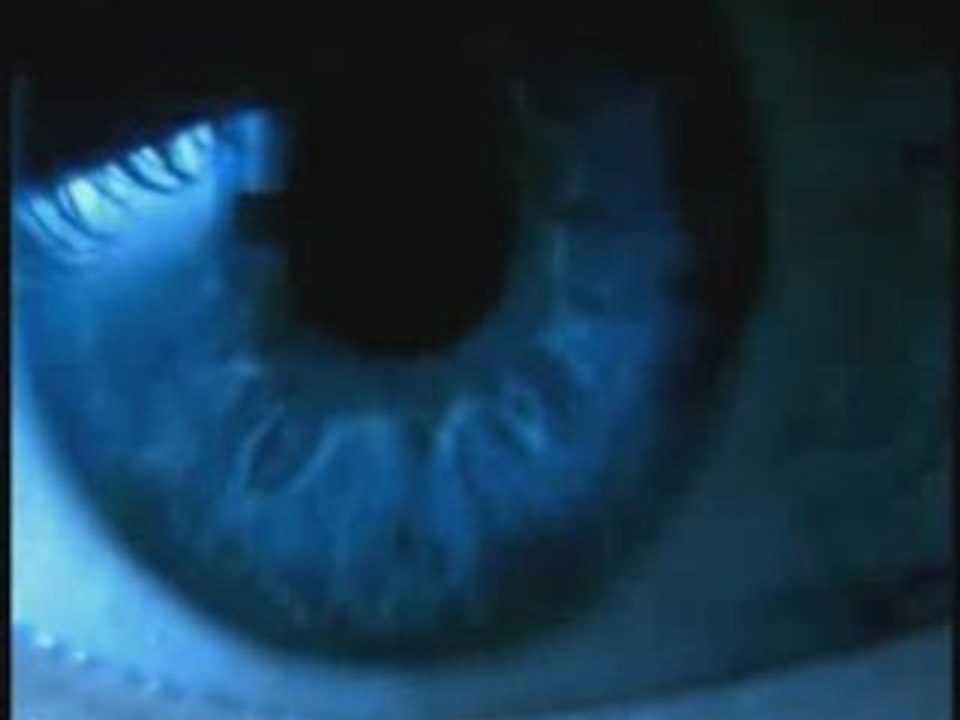 Lost-Noir Désir-CLIP