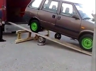 Dog is warned, but they wouldn't listen