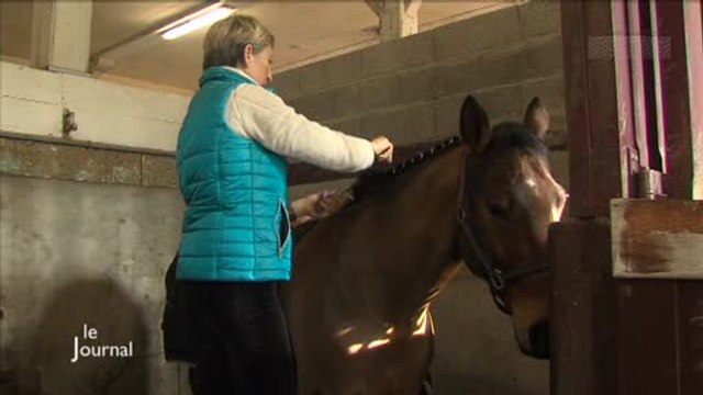 Haras de la Vendée : Le concours national de dressage