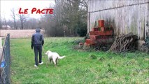 Le Pacte-court métrage