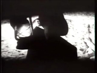 TAM XIII - TAM 13 -  D.M. Never let me down