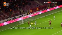 Wesley Sneijderın 2. klas golü / Galatasaray 3 1 Torku Konyaspor 12.2.2015