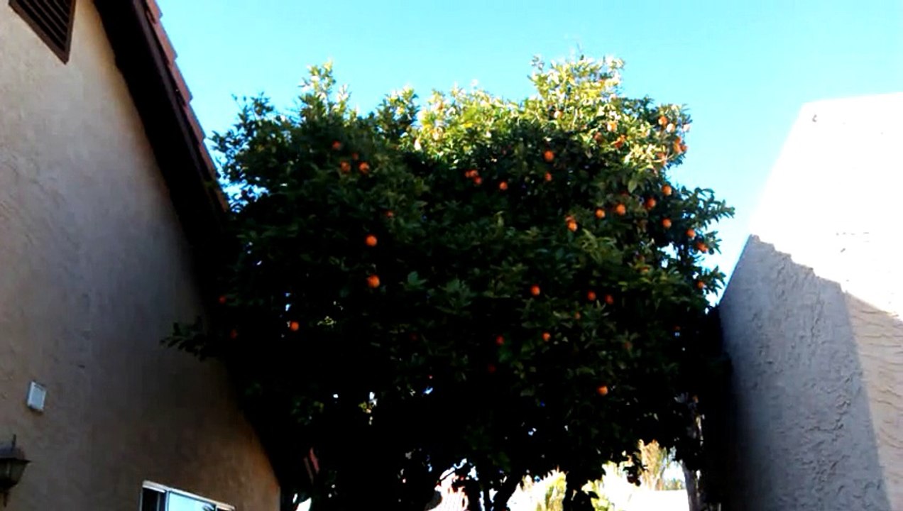 VID_20150207_100242